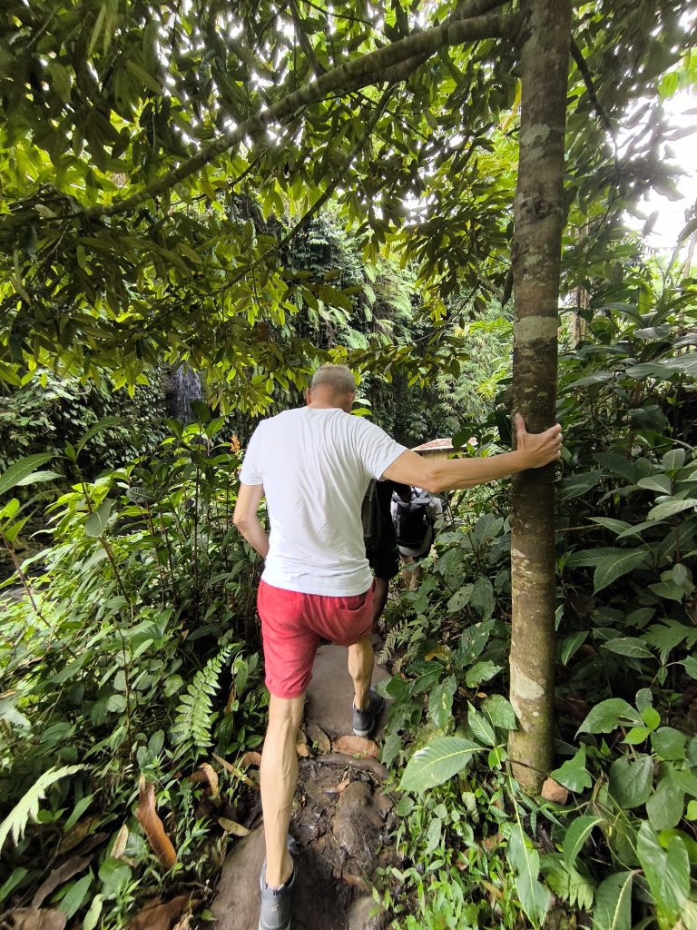 Tropical waterfall trail in Tetebatu Lombok